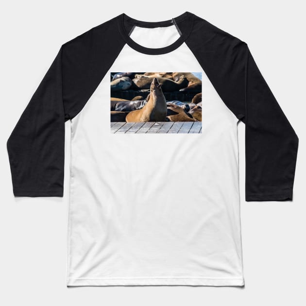 Tan Sea Lion Baseball T-Shirt by KensLensDesigns